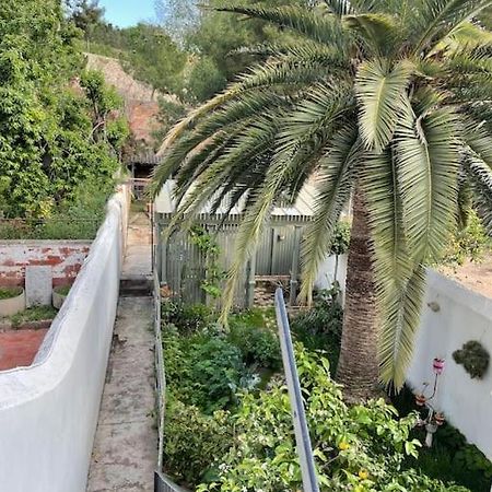 Piso Super Luminoso En El Centro Leilighet Tarragona Eksteriør bilde